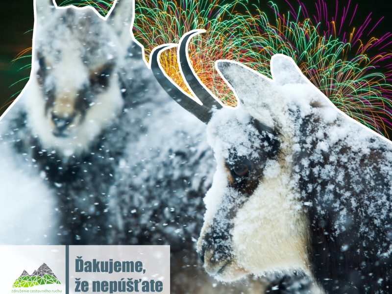 Ďakujeme 1