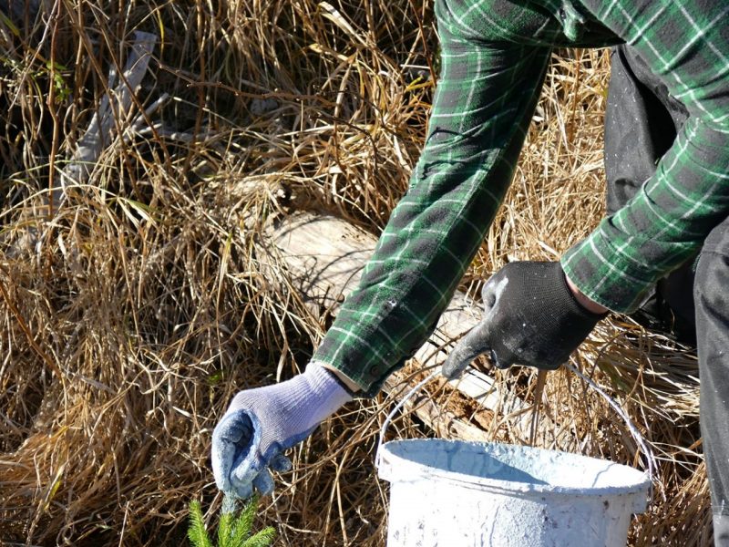 125865353_2690070807924682_7230488128201190639_o