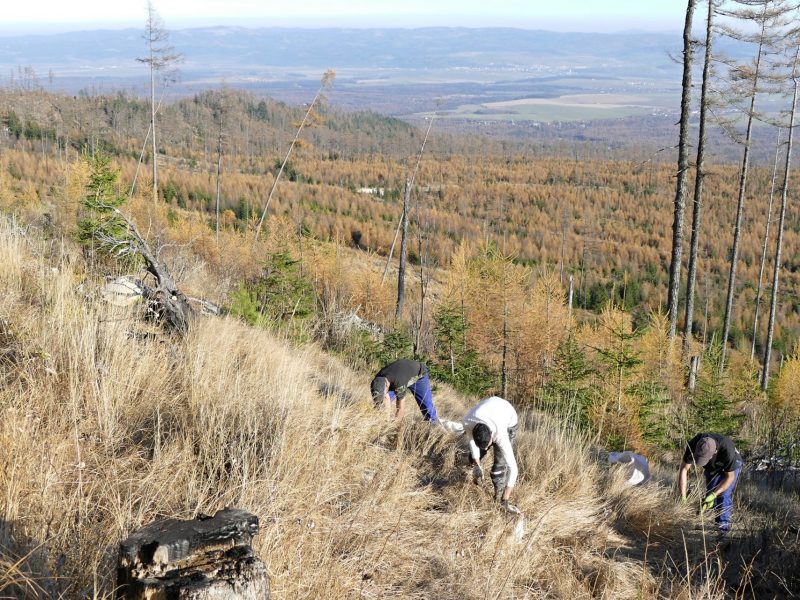 125958737_2690071961257900_8211644925422579484_o