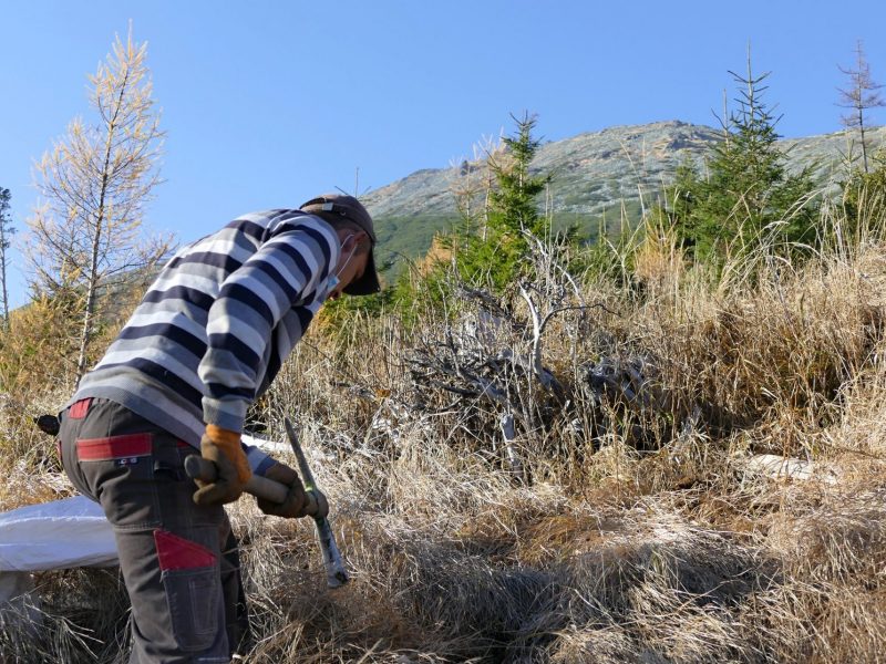 126061380_2690067707924992_1572180680847097412_o