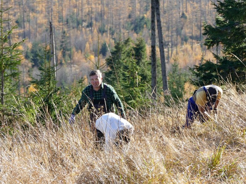 126295313_2690069397924823_1901137863206516437_o