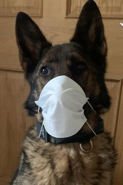 255729627.jpg.gallery