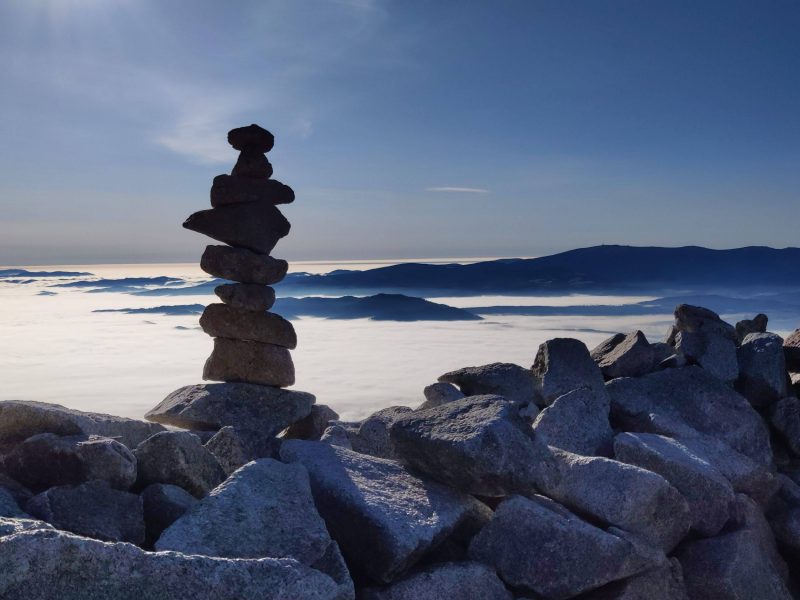 Kubo_ZCR_IMG_20201111_090232_1