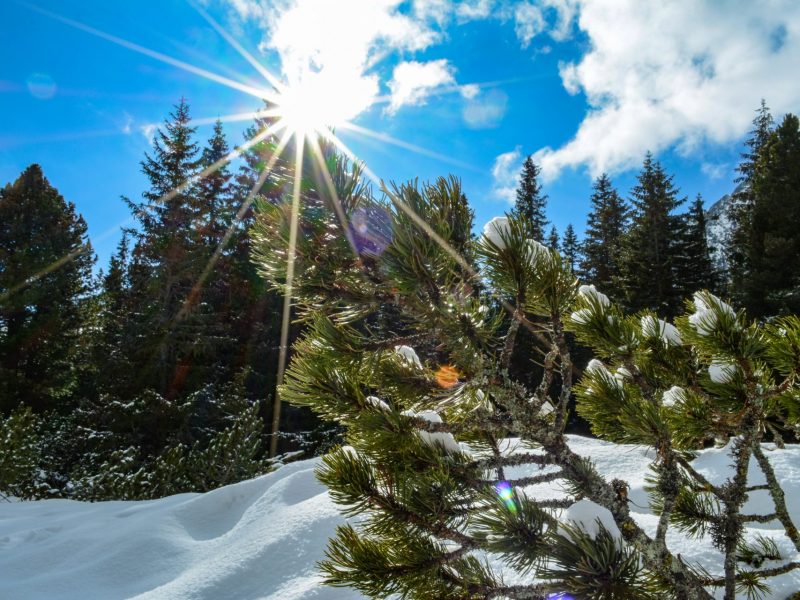 Silvio Pašmik_OOCR_ZCR_Popradské pleso