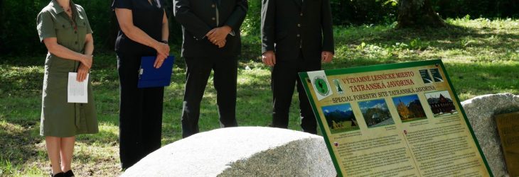 javorina lesnicke miesto denna sprava tatry