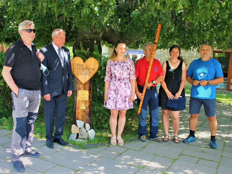 akcia-strom-zalubencov-buk 1