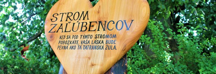 strom zalubencov vysoke tatry laska