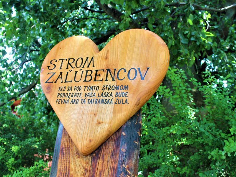 strom-zalubencov-smokovec 1