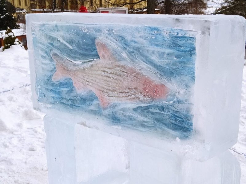 ladove sochy ryba resort hrebienok