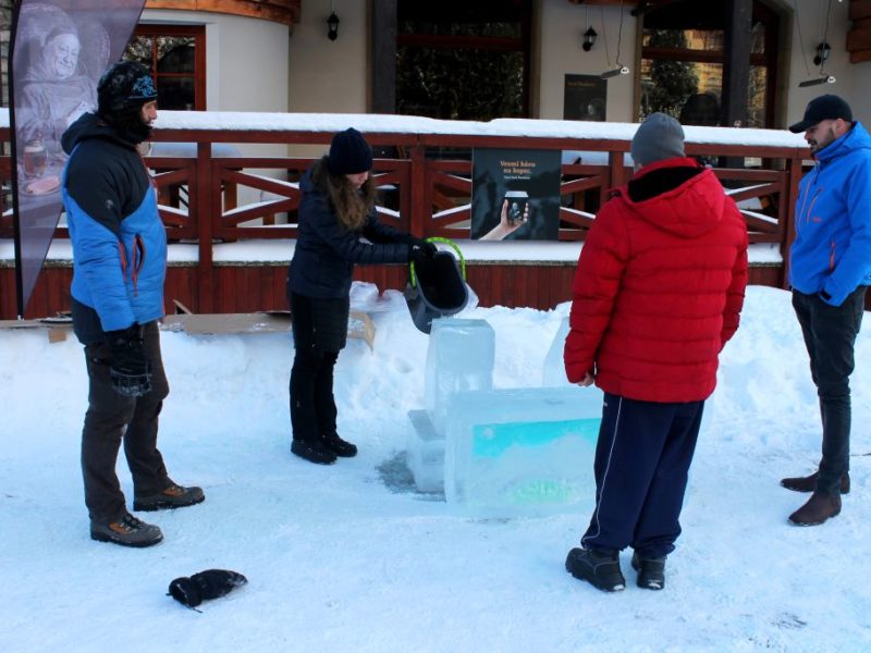 práce na ladových sochách