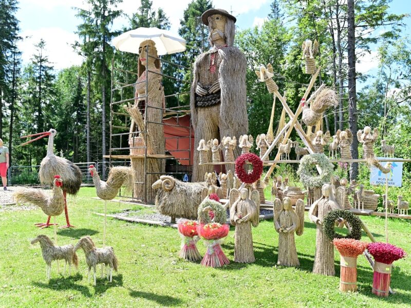 GFS piatok final_061