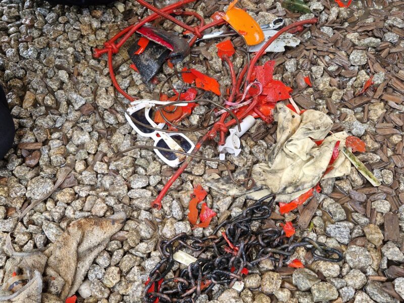 čisté hory 2024 (1)