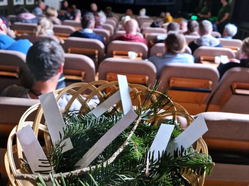 Lesný kúpeľ TANAP (3)